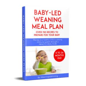 baby led meal plan