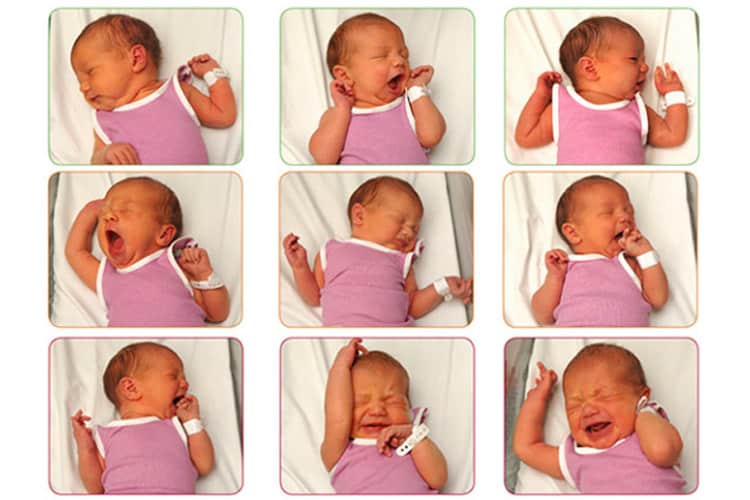 Baby Cues And What They Mean Babiesmata