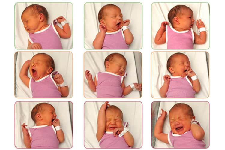Baby cues and signs